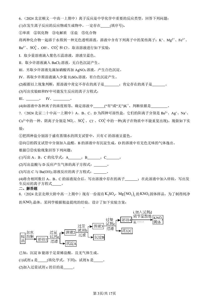 2024北京重点校高一（上）期中真题化学汇编：离子反应（非选择题）第3页
