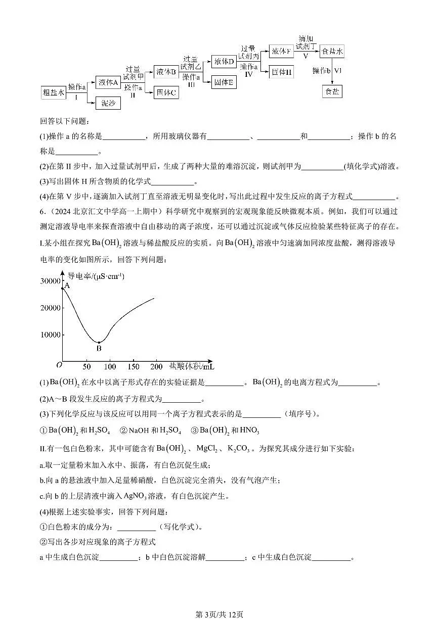 2024北京重点校高一（上）期中真题化学汇编：物质及其变化章节综合（非选择题）第3页