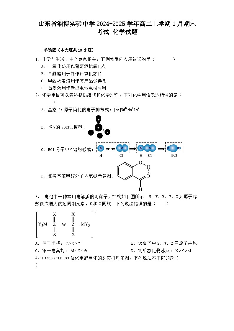 山东省淄博实验中学2024-2025学年高二上学期1月期末考试 化学试题第1页