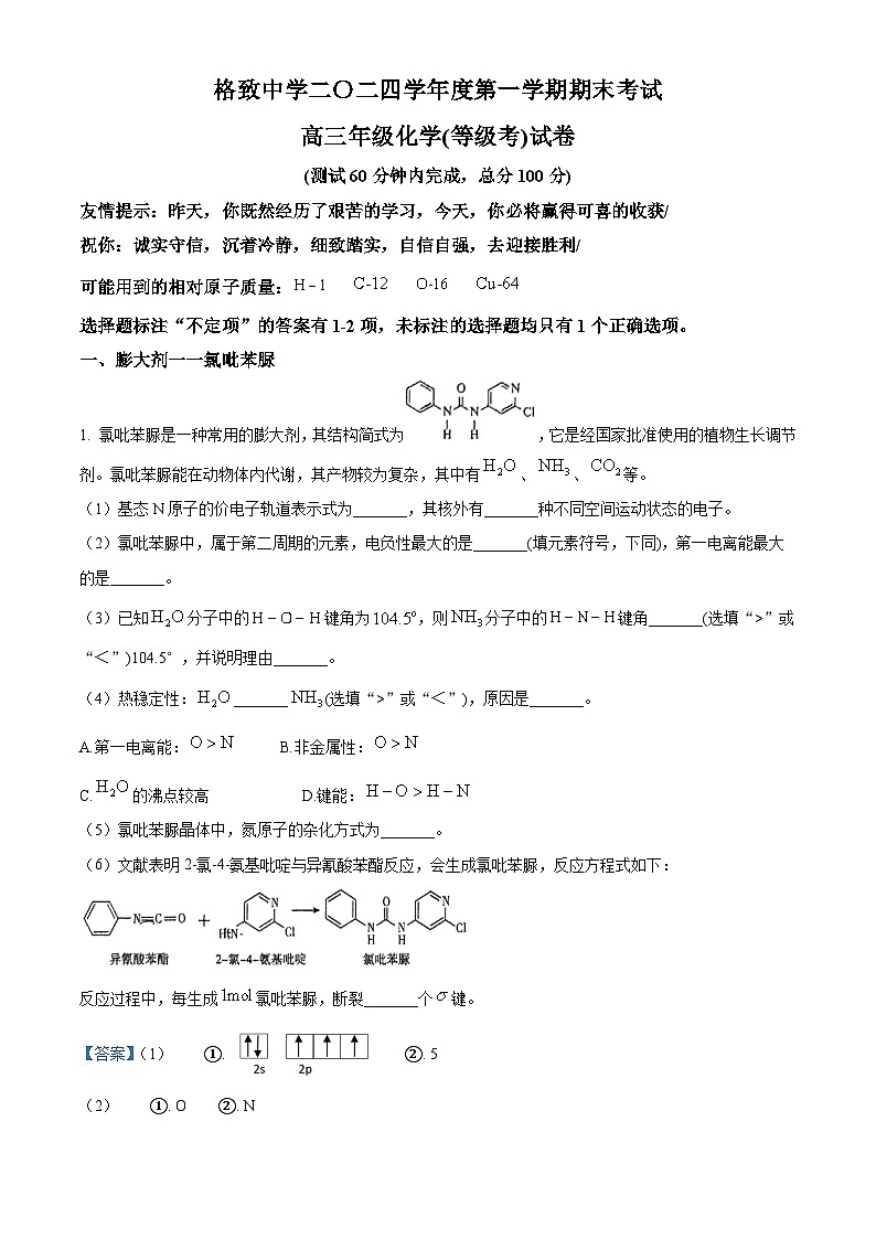 上海市格致中学2024-2025学年高二上学期  期末考试化学试卷（解析版）第1页