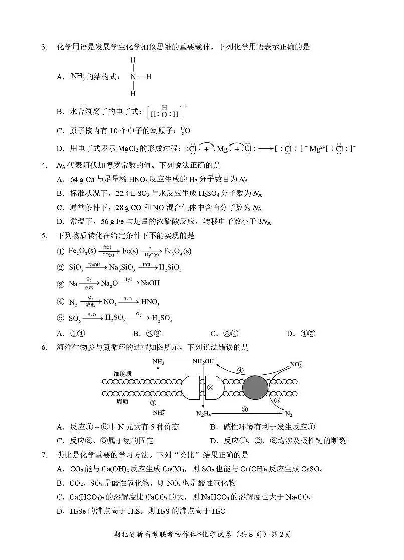 湖北部分名校2024-2025学年高一下学期3月联考化学试卷第2页