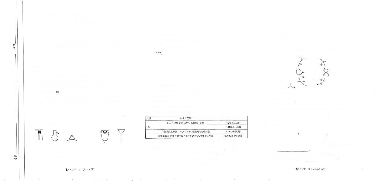 2024届福建省龙岩市高三上(11月半期考)-化学试题（含答案）第1页