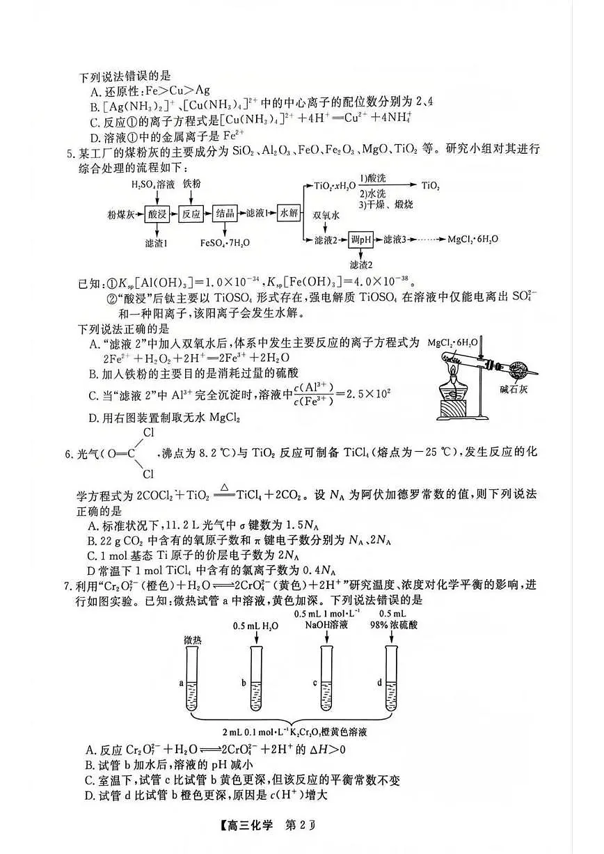 2025届福建高三省质检试卷 化学试题（含答案）第2页