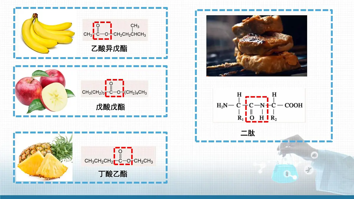 人教版高中化学选修3《3-4-2 羧酸衍生物》课件第2页