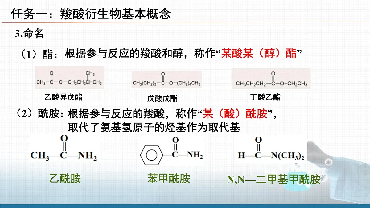 人教版高中化学选修3《3-4-2 羧酸衍生物》课件第5页
