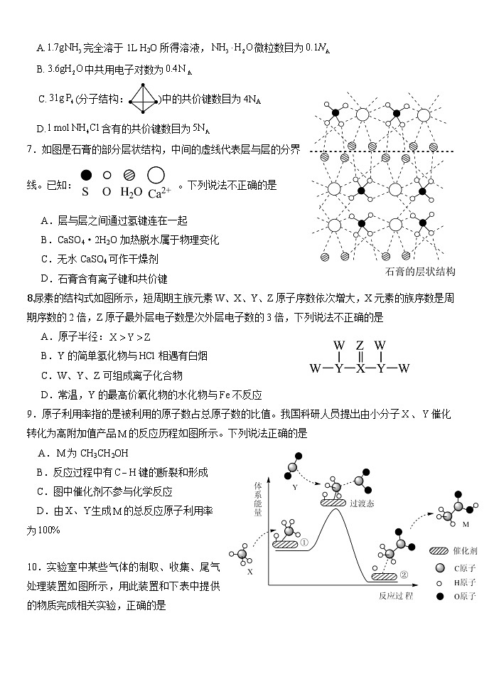 福建省泉州市惠安第一中学2024-2025学年高一下学期3月月考 化学试题第2页