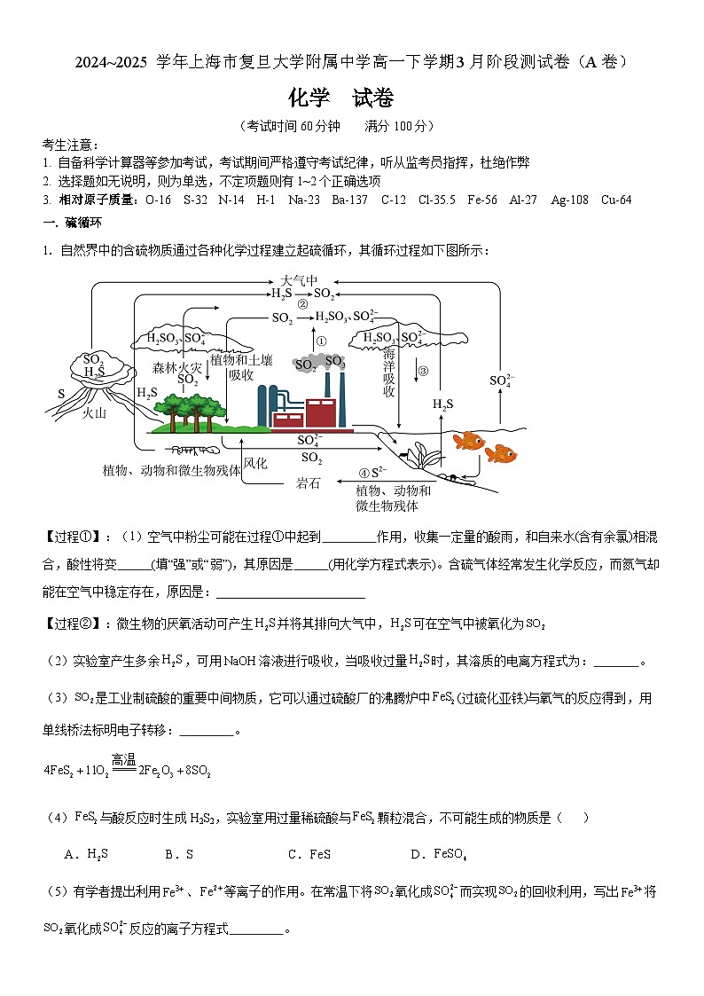 上海市复旦大学附属中学2024-2025学年高一下学期3月月考 化学试题第1页
