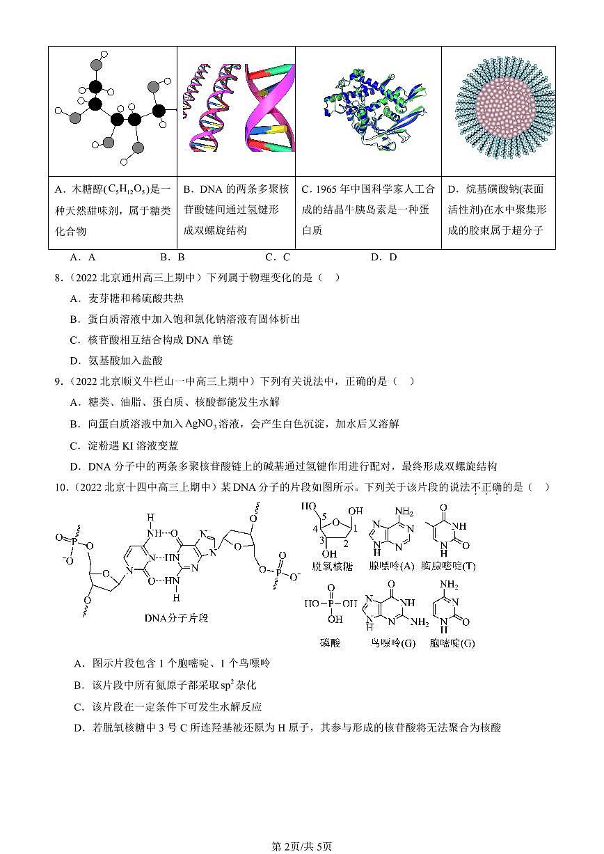 2022-2024北京重点校高三（上）期中真题化学汇编：核酸第2页