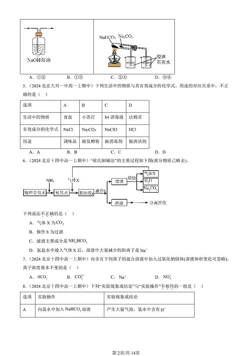 2024北京重点校高一（上）期中真题化学汇编：认识化学科学章节综合（鲁科版）（选择题）1第2页