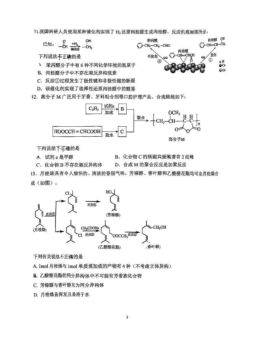 2025北京中关村中学高二下学期3月月考化学试题及答案第3页