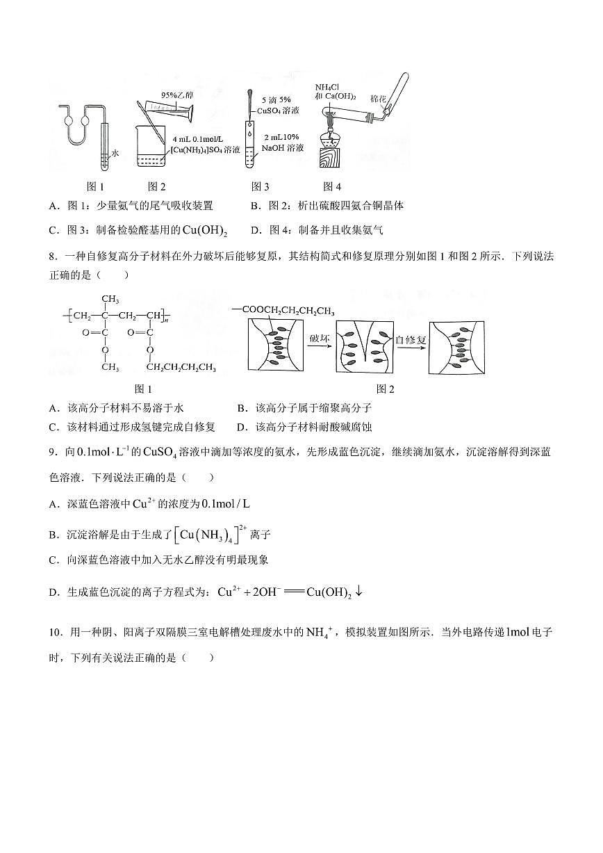 2024届湖北省宜荆荆随高三上学期10月联考-化学试题（含答案）第3页