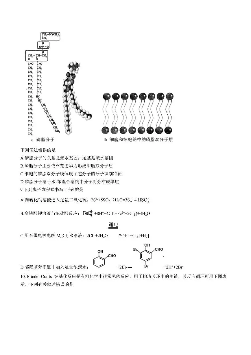 2024届湖北省宜荆荆恩高三上学期12月联考-化学试题（含答案）第3页