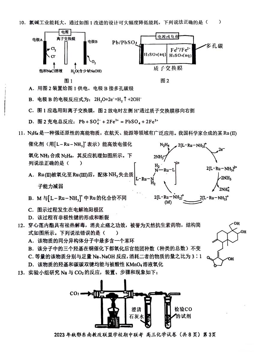 2024届湖北省鄂东南教学改革联盟学校高三上学期期中联考-化学试题（含答案）第3页