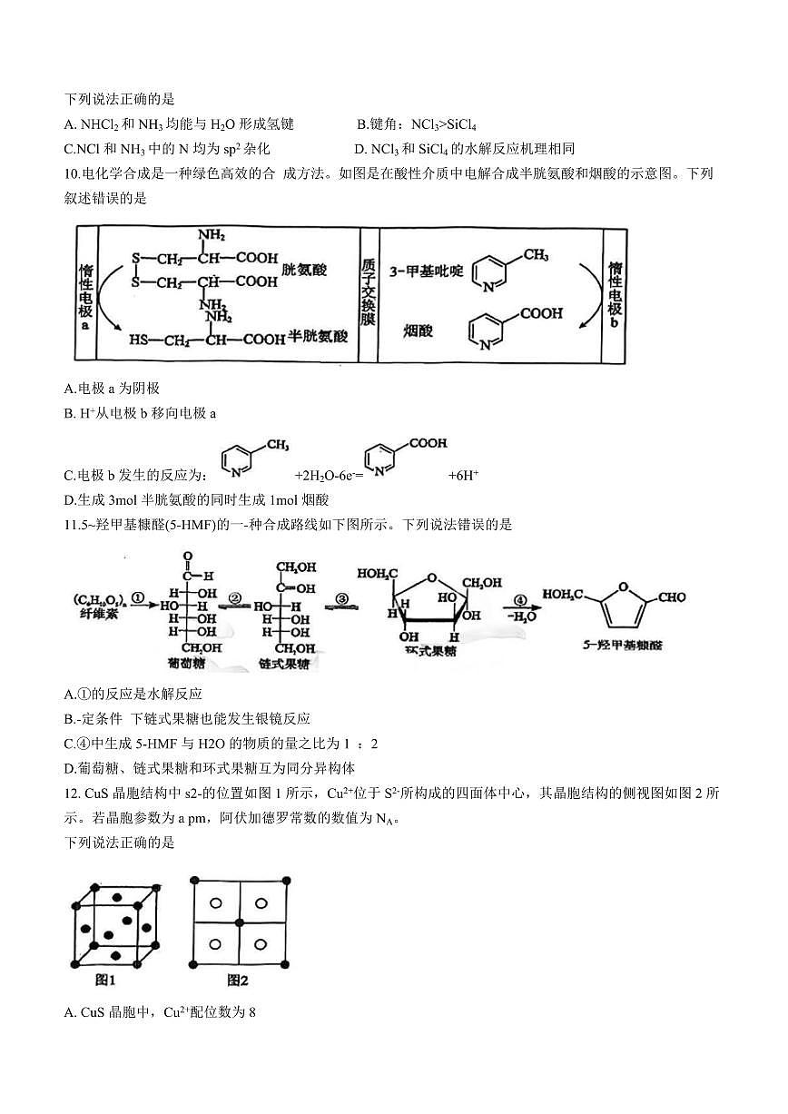 2024届湖北省腾云联盟高三上学期12月联考-化学试题（含答案）第3页