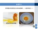 人教版 (新課標(biāo))高中化學(xué)必修1 4-1第二課時(shí)《硅酸鹽和硅單質(zhì)》教學(xué)課件
