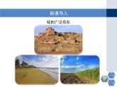 人教版 (新課標(biāo))高中化學(xué)必修1 4-1第一課時(shí)《二氧化硅和硅酸》課件