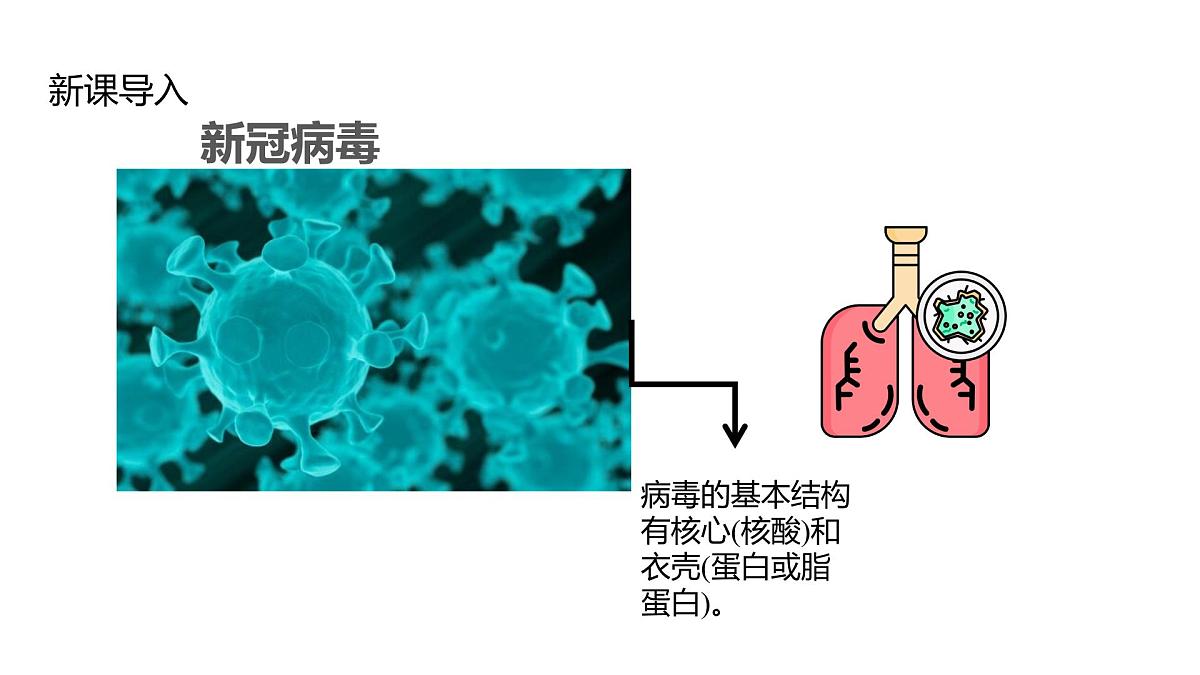 2025春高二化学人教版选择性必修3教学课件 4.2.1 氨基酸第2页