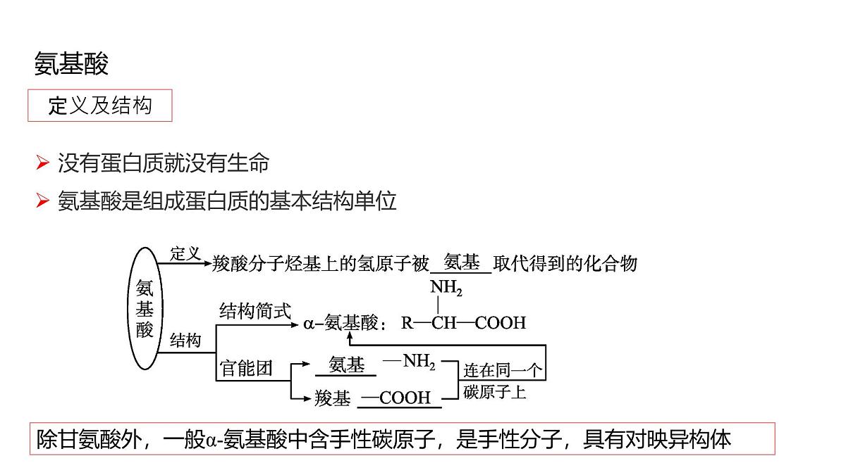 2025春高二化学人教版选择性必修3教学课件 4.2.1 氨基酸第3页