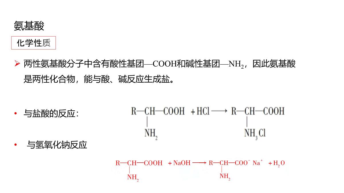 2025春高二化学人教版选择性必修3教学课件 4.2.1 氨基酸第6页