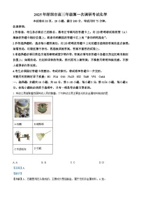 广东省深圳市2025届高三下学期第一次调研考试化学试题 含解析