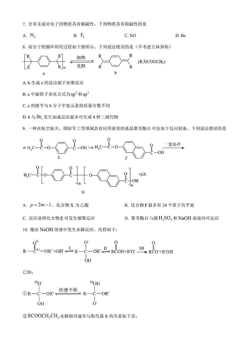 2024届辽宁省沈阳市东北育才高三下学期第六次模考(3月)-化学试卷（含答案）第3页