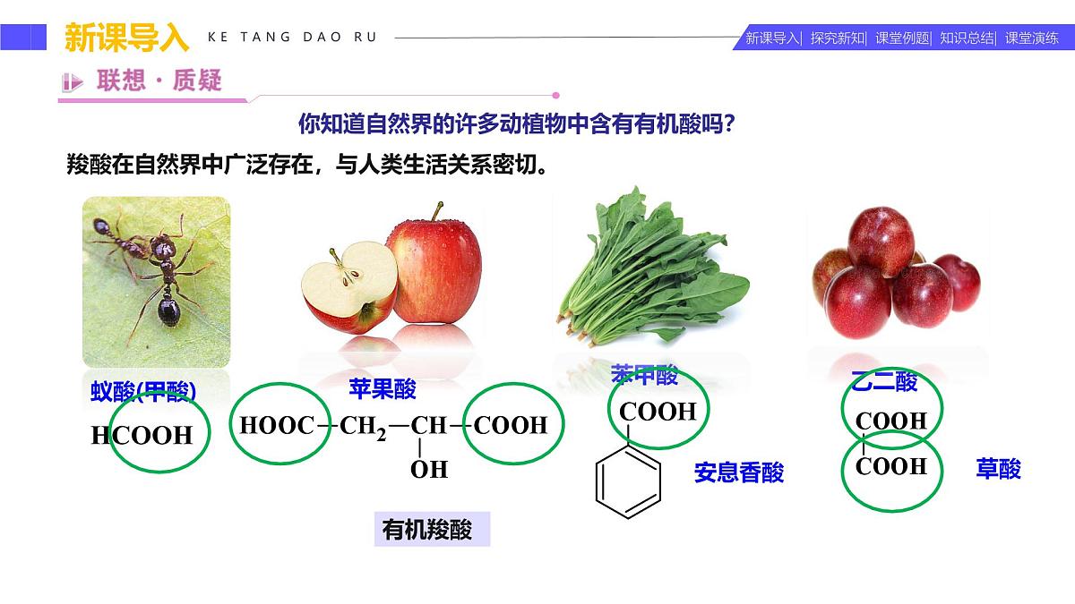 2.4.1 羧酸（同步课件）-2024-2025学年高二化学（鲁科版2019选择性必修3）第4页