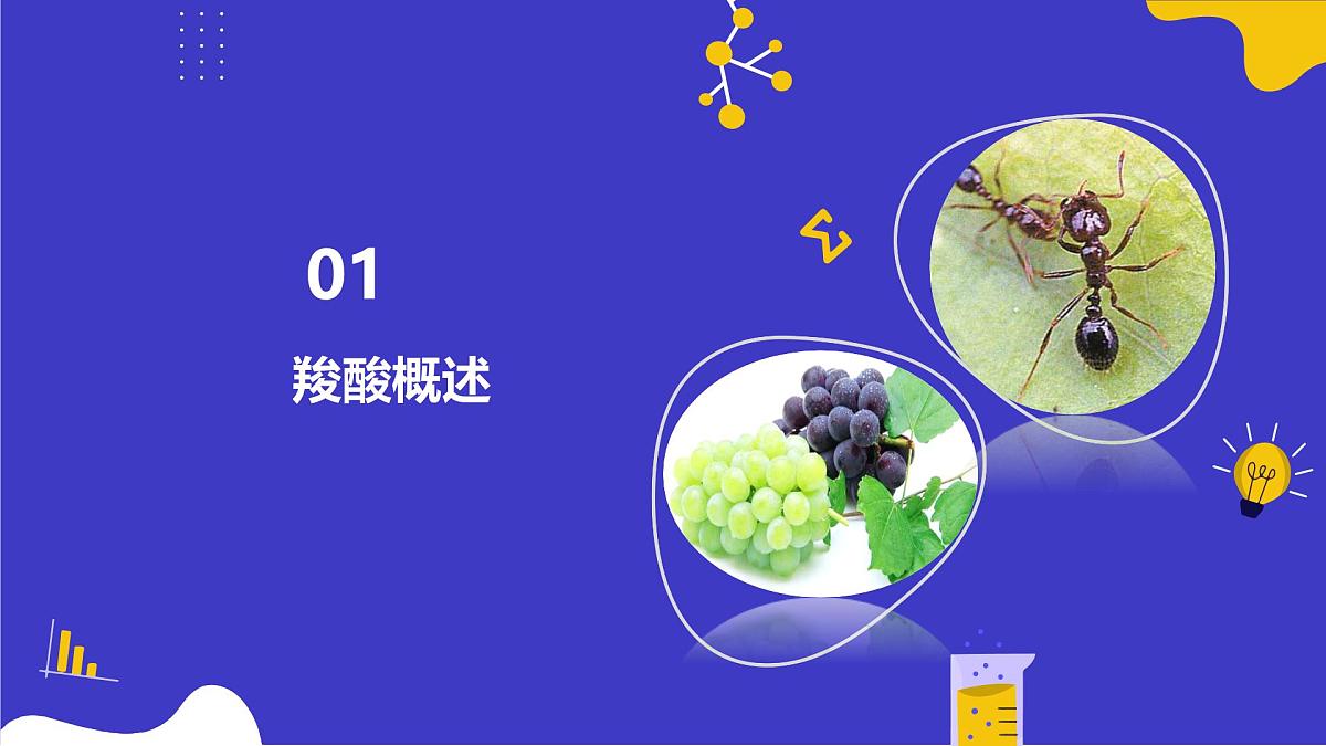 2.4.1 羧酸（同步课件）-2024-2025学年高二化学（鲁科版2019选择性必修3）第7页