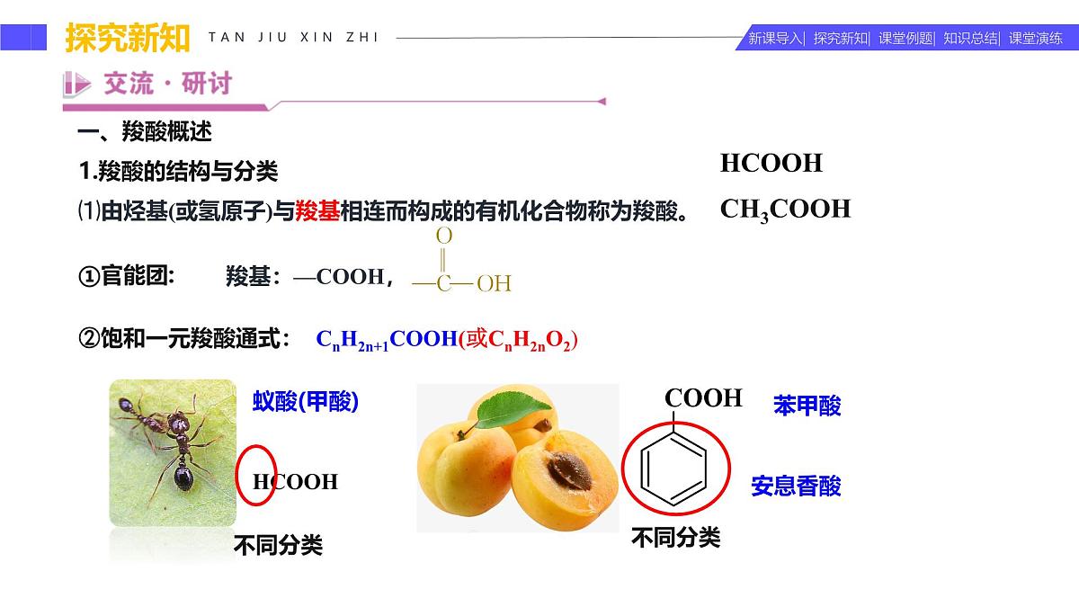 2.4.1 羧酸（同步课件）-2024-2025学年高二化学（鲁科版2019选择性必修3）第8页