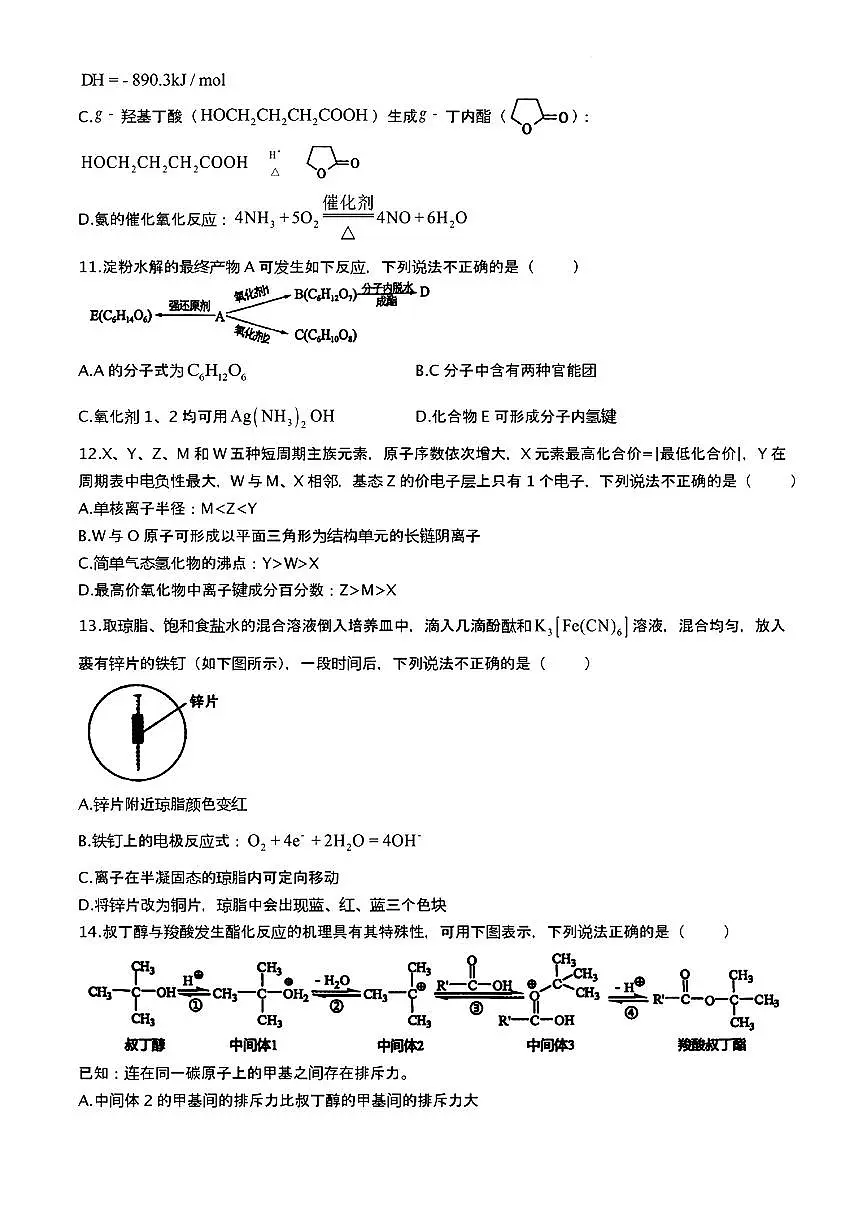 2024届浙江省金华十校高三模拟考-化学试卷（含答案）第3页