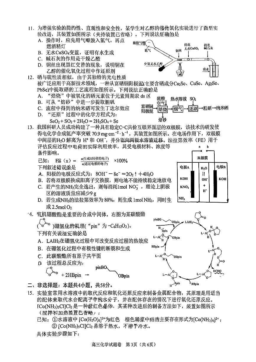 2025湖南益阳市高三上学期期末考试化学试卷（含答案）第3页