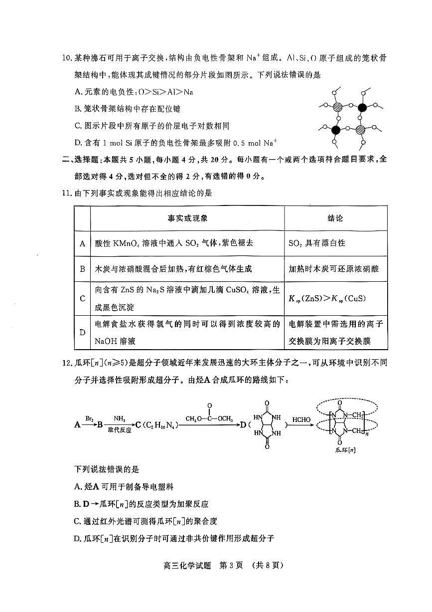 2025届山东省济南市高三上学期1月期末考试化学试卷（含答案）第3页