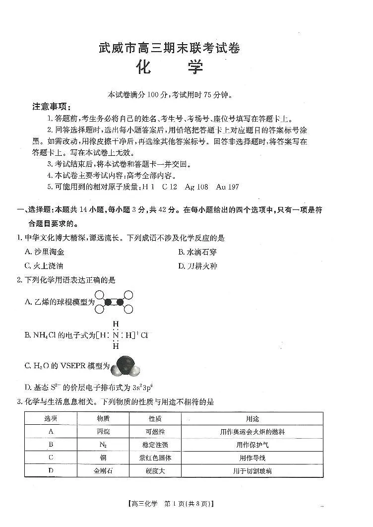甘肃省武威市2025届高三上学期1月期末联考化学试卷（含答案）第1页