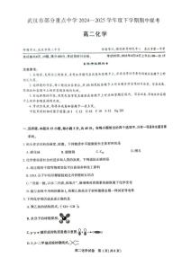 湖北武汉六校联考2024-2025学年高二下学期4月期中考试化学试题+答案