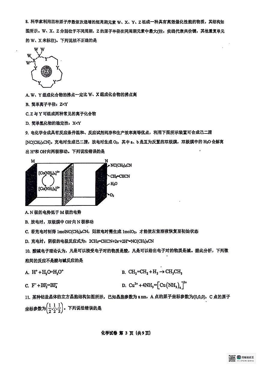 广西南宁市第二中学2024-2025学年高三上学期11月月考化学第3页