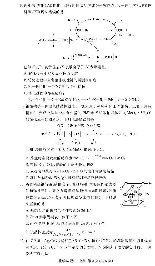 大联考长沙市一中 2025 届高三月考试卷（六）化学试卷（含答案）第3页