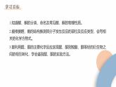 2.3 課時1 醛和酮  課件 2024-2025學年高二化學魯科版（2019）選擇性必修3