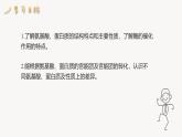 2.4 課時(shí)3 氨基酸和蛋白質(zhì)  課件 2024-2025學(xué)年高二化學(xué)魯科版（2019）選擇性必修3