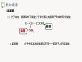 2.4 課時(shí)3 氨基酸和蛋白質(zhì)  課件 2024-2025學(xué)年高二化學(xué)魯科版（2019）選擇性必修3