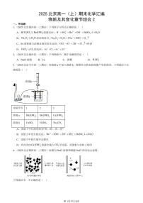 2025北京高一（上）期末真题化学汇编：物质及其变化章节综合2