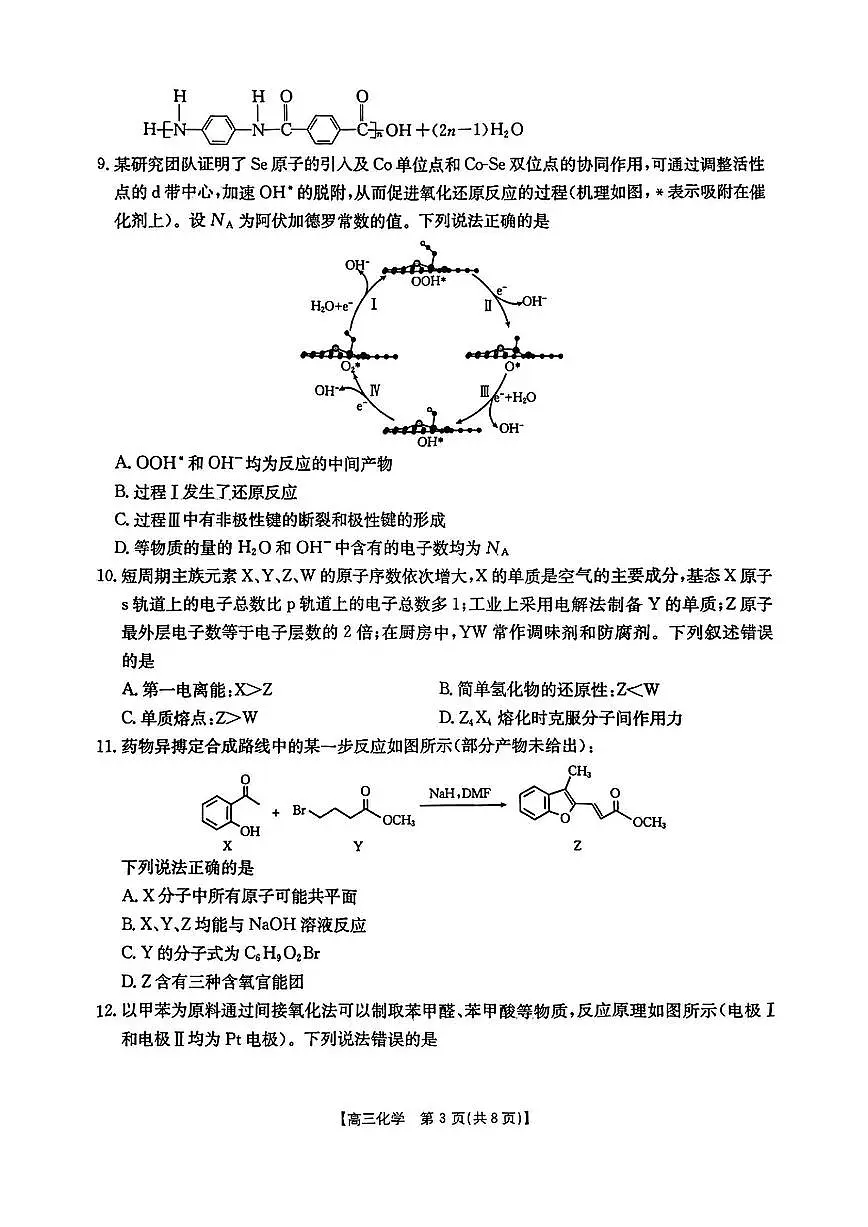 辽宁省辽阳市2024-2025学年高三下学期第一次考试 化学试卷（含答案）第3页