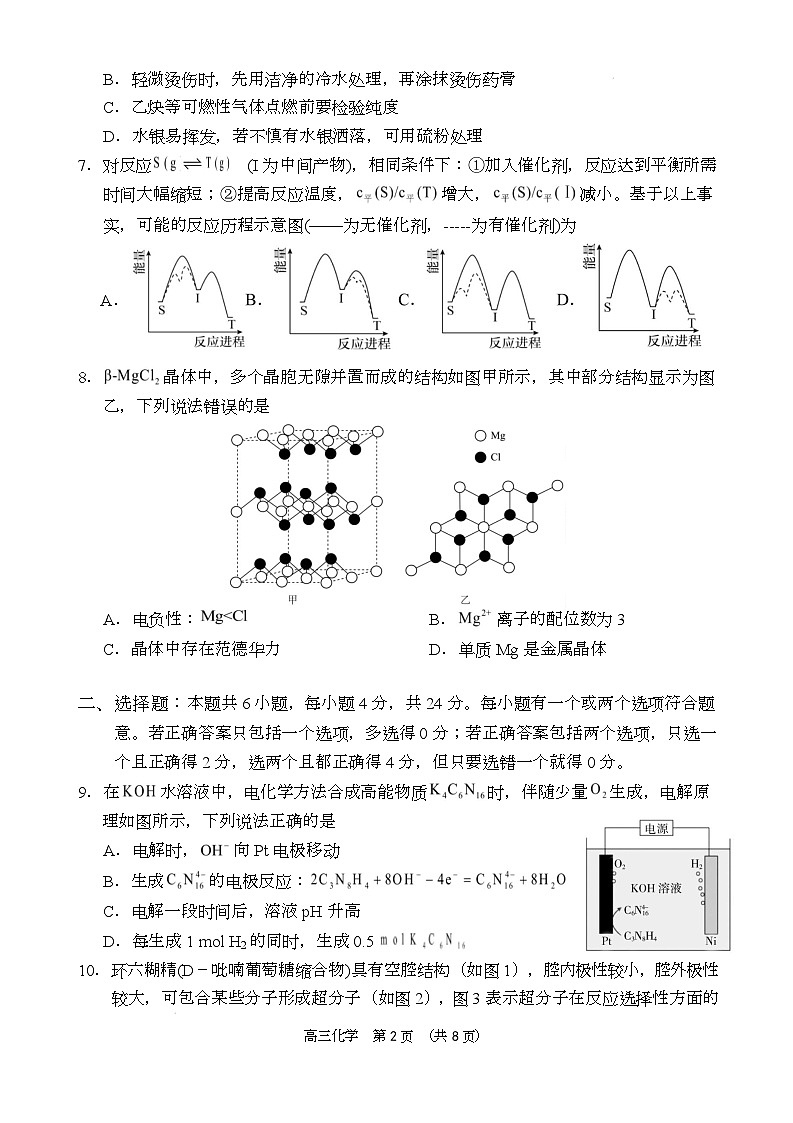 海南省省直辖县级行政单位文昌市文昌中学2024-2025学年高三第五次月考（4月）化学试题第2页