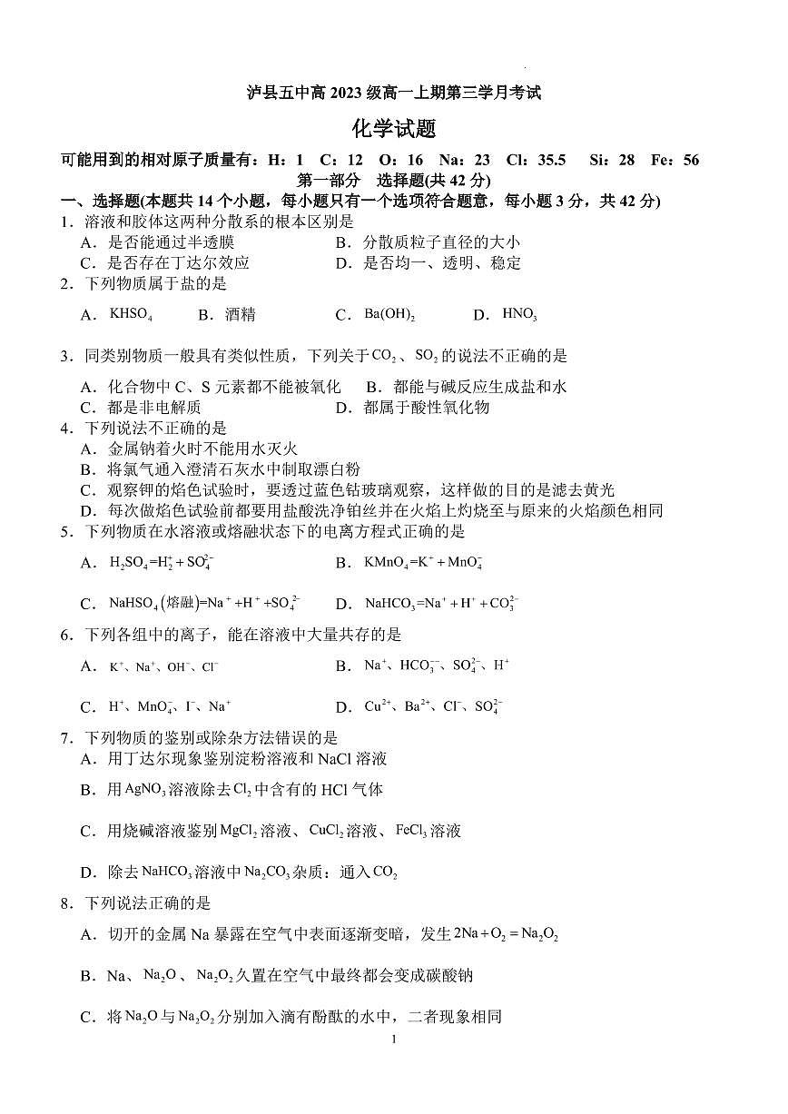 四川省泸县第五中学2023-2024学年高一上学期12月月考化学试卷（含答案）第1页