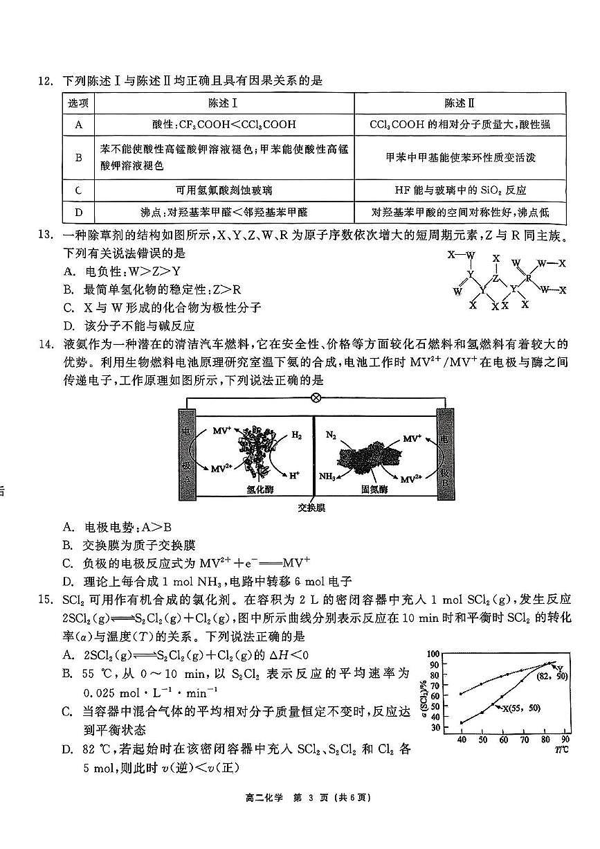 深圳外国语学校2024-2025学年高二下学期期中考试化学试题+答案第3页