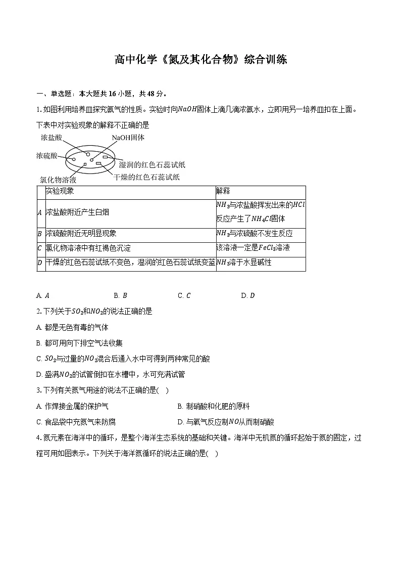 新课标高考化学专题训练 《氮及其化合物》综合训练第1页