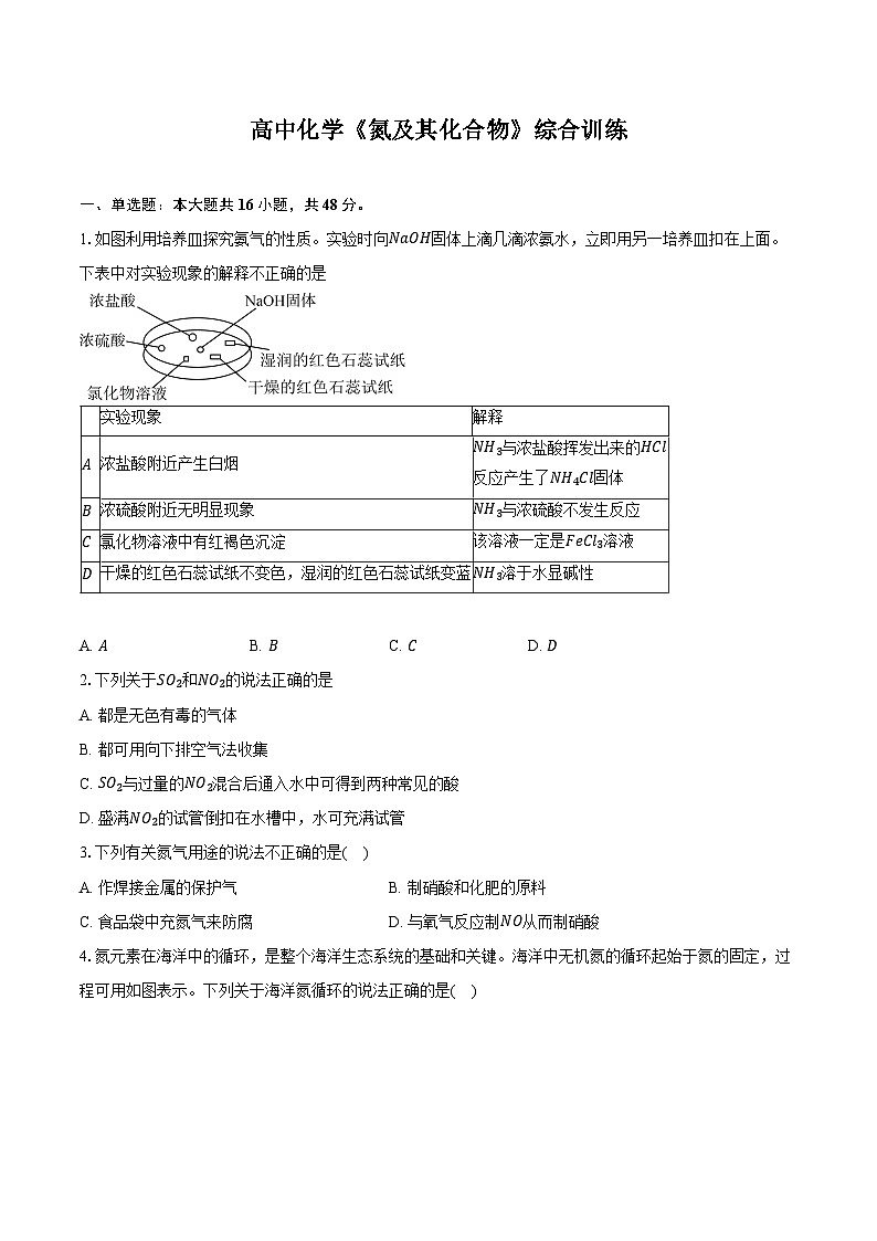 新课标高考化学专题训练 《氮及其化合物》综合训练第1页