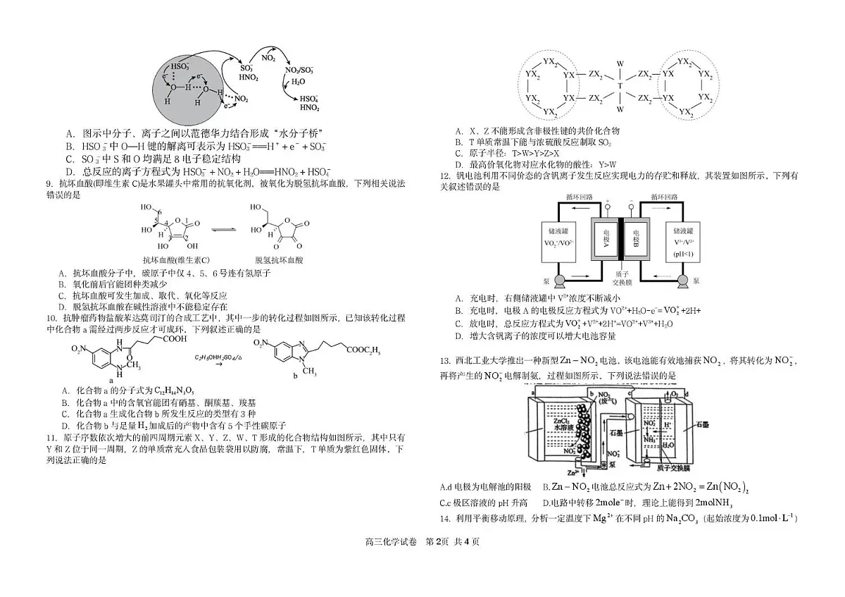 江西师大附中2025届高三下学期三模质量检测化学试题（PDF版，无答案）第2页