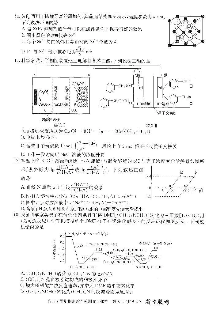 安徽省合肥市第一中学2023-2024学年高三上学期期末考试化学试卷（含答案）第3页