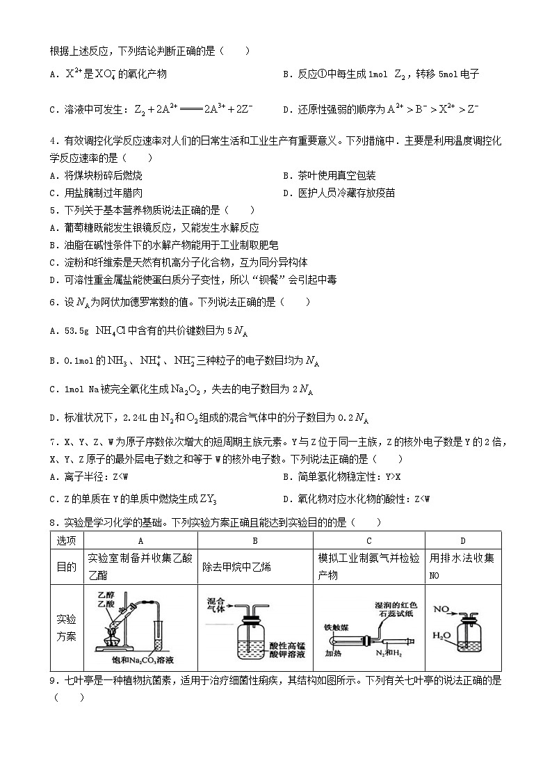 安徽省2023_2024学年高一化学下学期6月期末试题无答案第2页