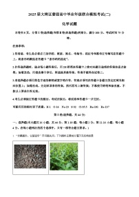 广东省大湾区2025届高三下学期联合模拟考试（二模）化学试题（含答案）