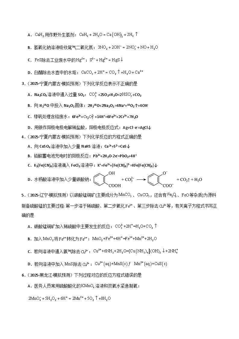 备战2025年高考化学抢押秘籍（黑吉辽蒙专用）猜押02化学基本概念（学生版）第2页